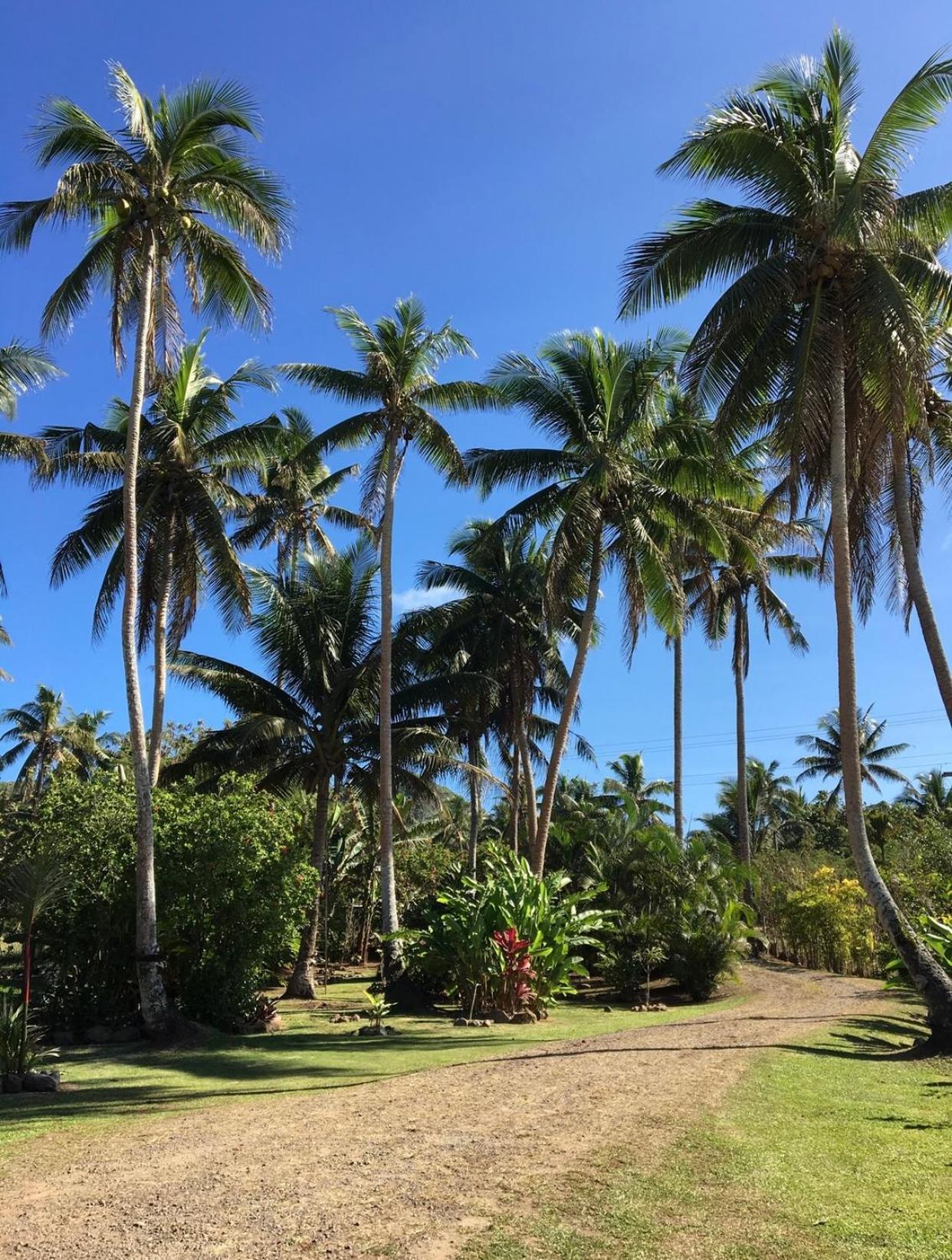 Вилла Island Breeze Fiji Савусаву Номер фото